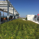 Image for article titled Behind the Scenes at the San Francisco 49ers’ New High Tech Stadium